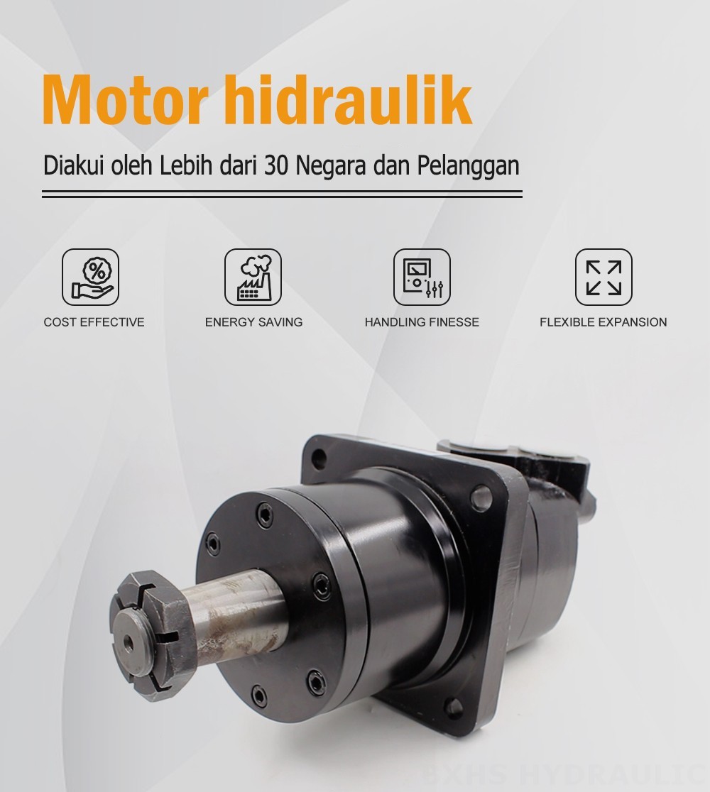 Motor Hidrolik Cycloid BM6W 310 cc/r 150 Lpm Motor Hidrolik